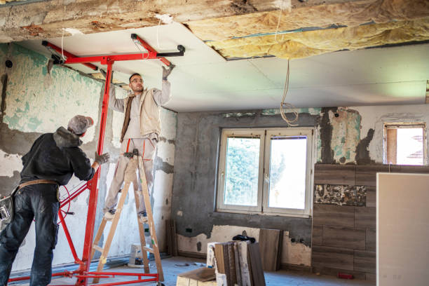 Best Blown-in Insulation in Ripley, TN
