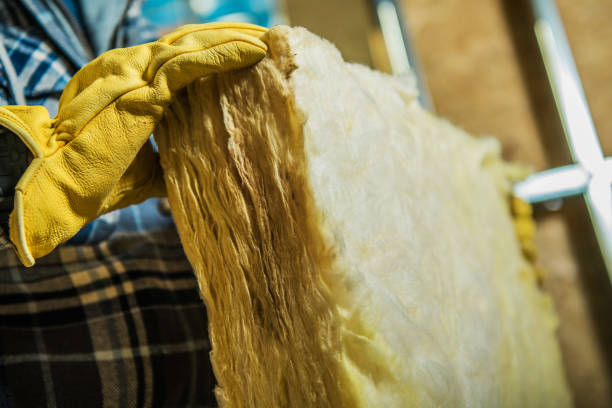 Best Blown-in Insulation in Ripley, TN