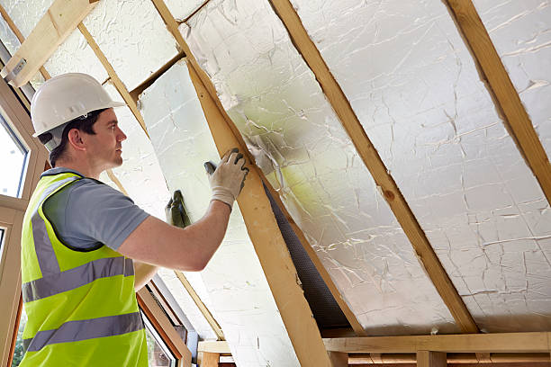 Best Cellulose Insulation in Ripley, TN