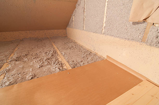 Best DIY Insulation Kits and Guidance in Ripley, TN