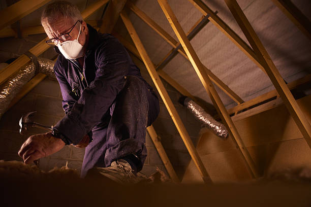 Best Spray Foam Insulation in Ripley, TN