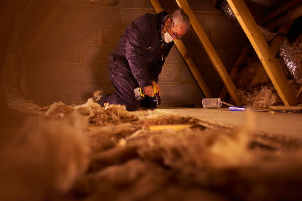 Best Eco-Friendly Insulation in Ripley, TN